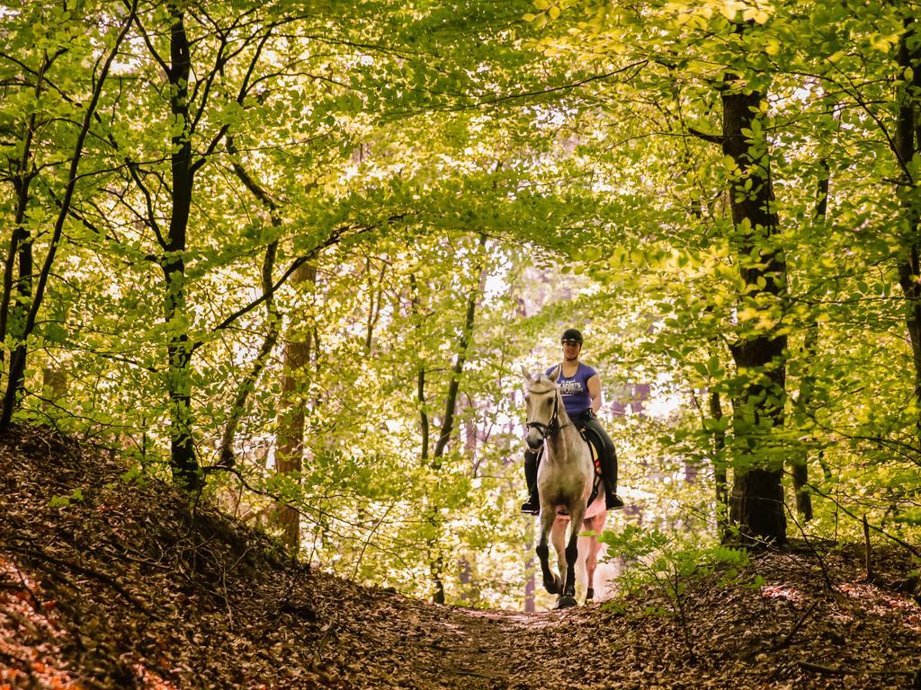 Hotel Relais & Chateaux Landgoed Het Roode Koper Ermelo